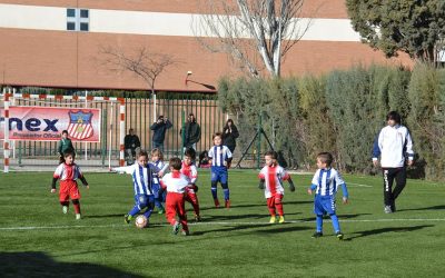 Gran jornada para los equipos del AD Complutense